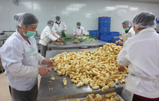 舜泰專業(yè)團(tuán)隊(duì)